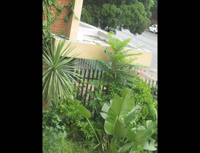 3 BEDROOM PROPERTY TO RENT IN ARCADIA